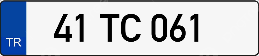 41 TC 061